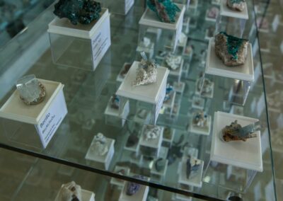 Collezione Mineralogica Pegoraro